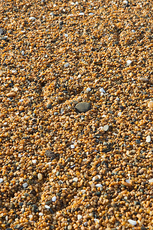Seagull tracks across beach cobbles