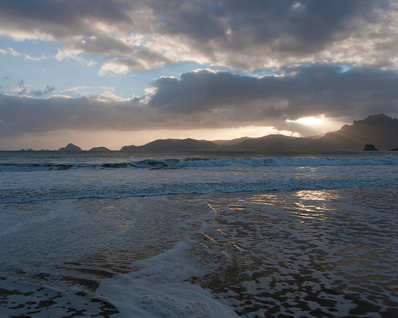 Sealers Bay on Codfish Island 3