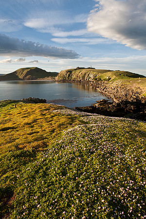 Katiki Point headland 3