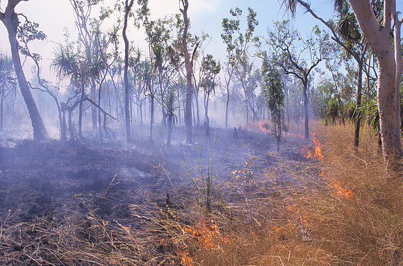 Bushfire