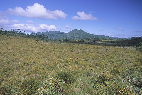 Mount King William 1