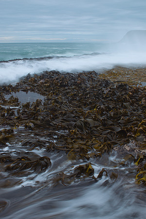 Wave action at Curio Bay 4