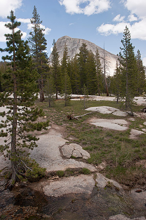 Tuolumne Meadow 1