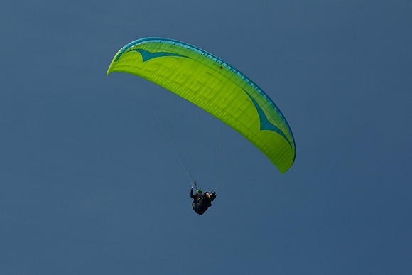 Paraglider