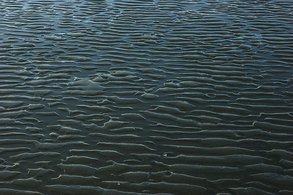 Ripples in the sand