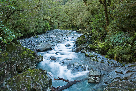 The Cleddau River at The Chasm 2