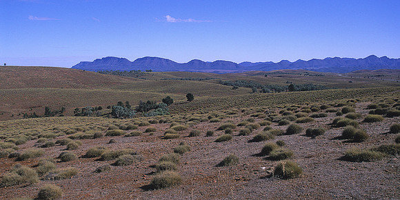 Flinders Ranges 6