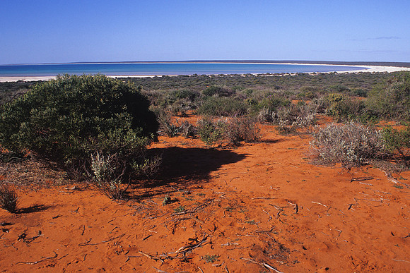 Shelley Beach landscape