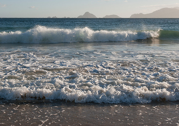 Sealers Bay on Codfish Island 4