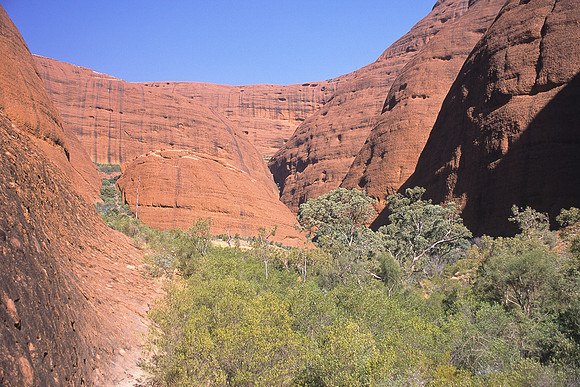 Olgas 19
