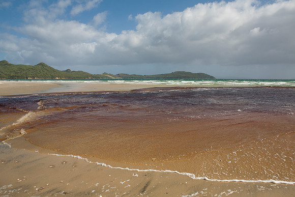 South end of Mason Bay