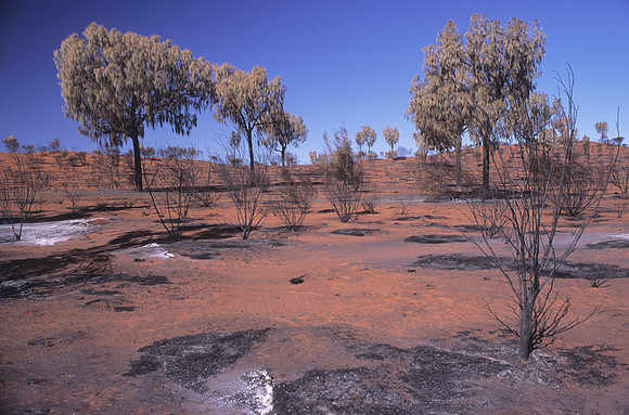 The Red Centre 1