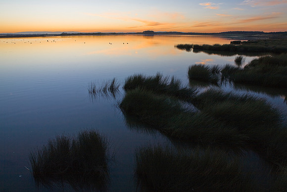 Sunset at the New River Estuary 1