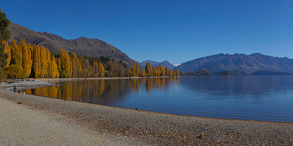 Autumn colours at Lake Wanaka 11