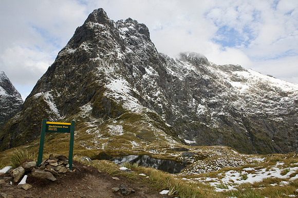 Looking across Mackinnon Pass to Mt Balloon, Milford Track