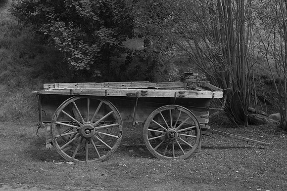 Horse cart at Danseys Pass
