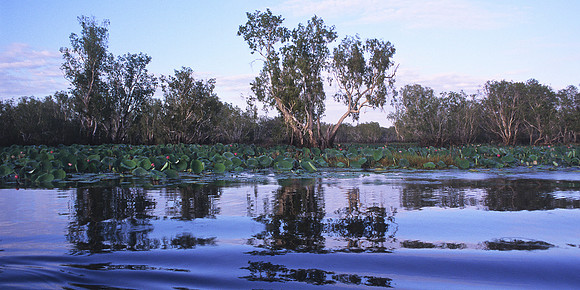 Yellow Waters 1
