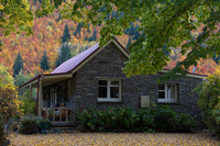 Arrowtown cottage 4