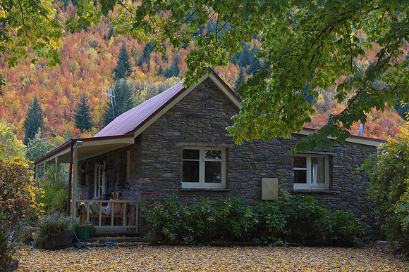 Arrowtown cottage 4
