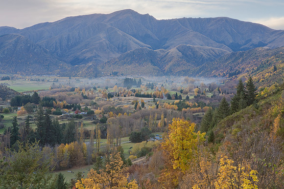 Arrowtown in the Fall 1