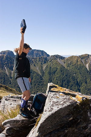 Department of Conservation staff carrying out annual takahe popu
