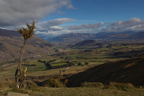 Wakatipu Basin 6