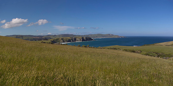 Jacks Bay landscape