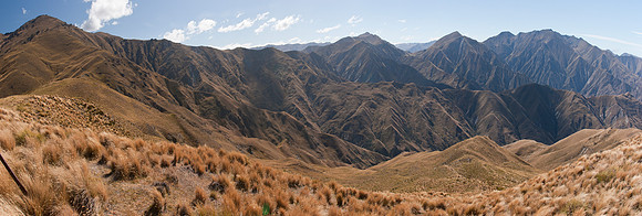 Branch Creek sub-alpine grasslands 1