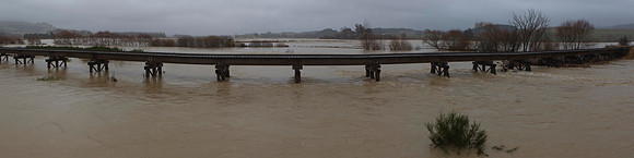 Shag River in flood