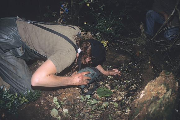 Chatham Petrel operation 1