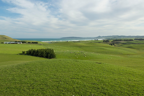 Rolling farmland at Katiki Point 2