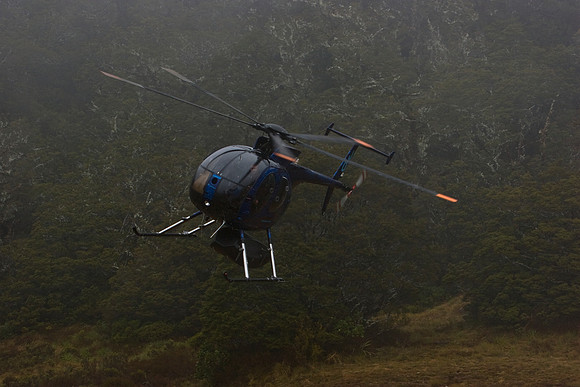Fiordland helicopters - pickup and transfer in the mountains, Fi