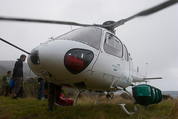 Taxi service from the mainland, Codfish Island