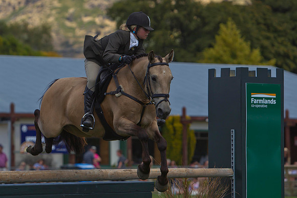 Equestrian 1