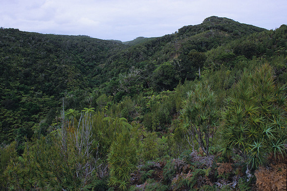 Tuku Valley 1