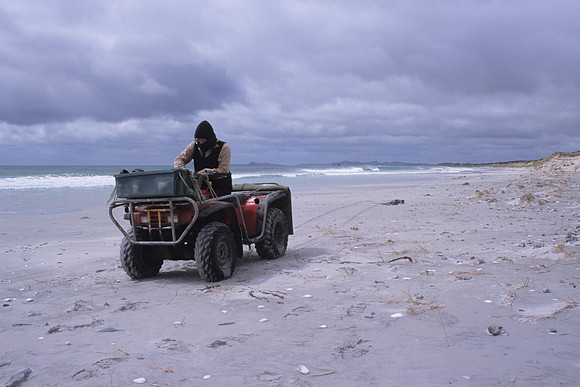 Riding along Maunganui Beach