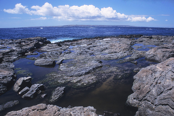 Western Reef 3