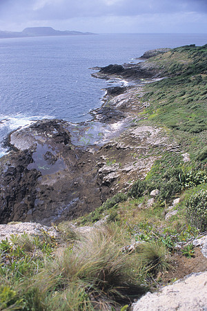 Rock platform to Pitt Is
