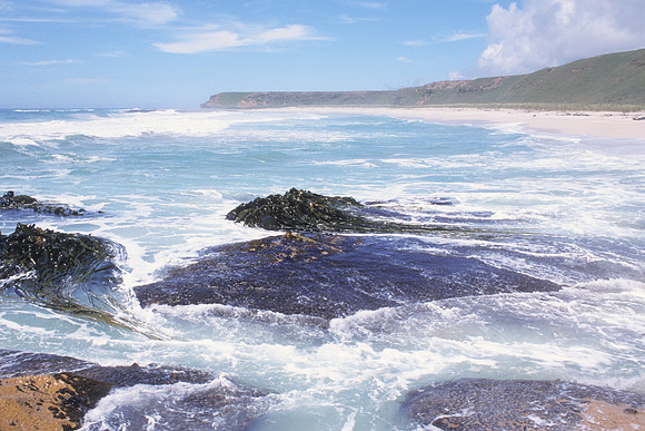 Northern beaches