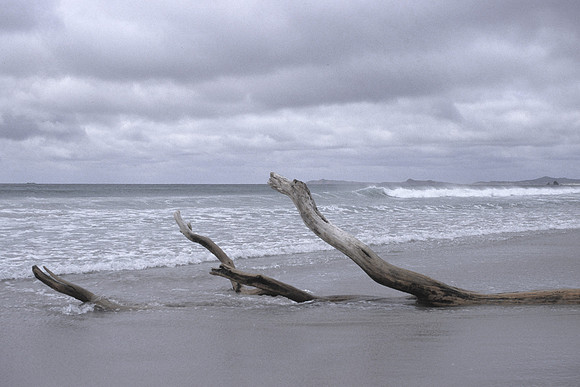 Maunganui Beach 2