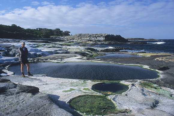 Rock pools along Whalers Bay