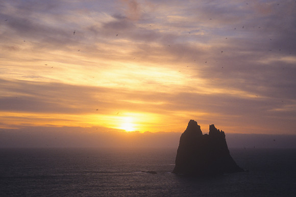 The Castle at dusk