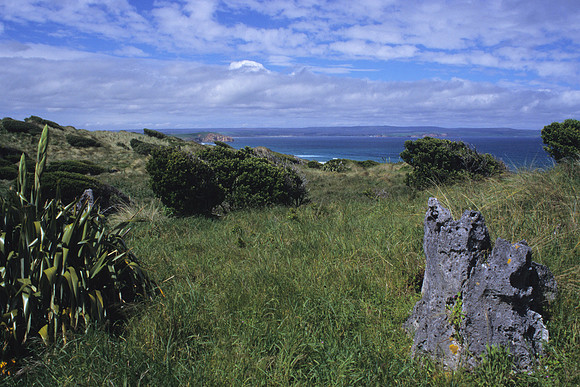 Henga Reserve