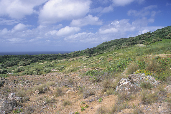 Skua Gully 1