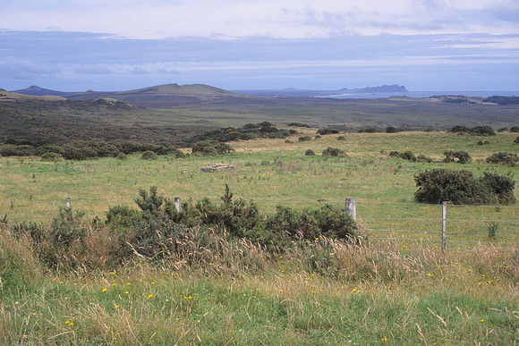 Near the northeast headland