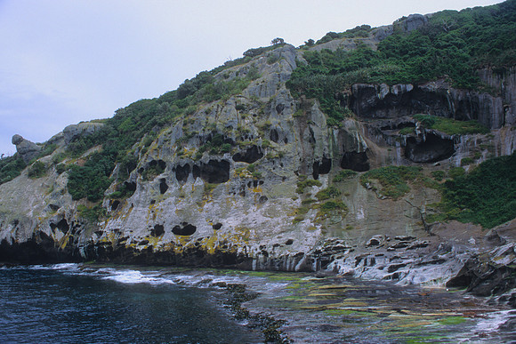 Nogs Folly 1