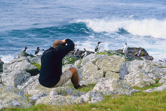 Robin Bush & Chatham Island shag