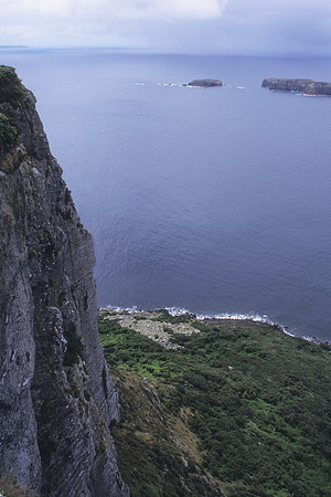 View down to Robin Bush