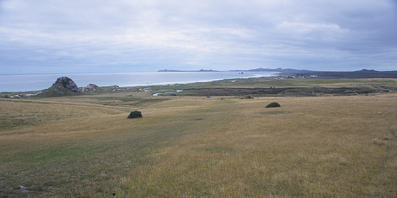Farmland near Te Whanga Lagoon