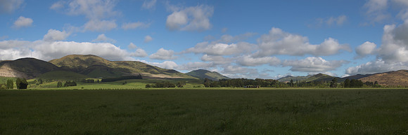 Dairy fields near Castlerock 1